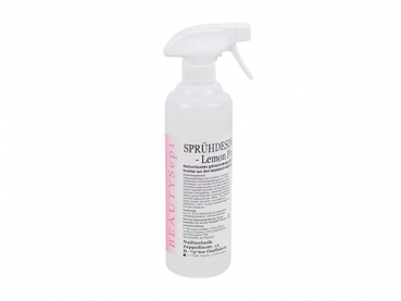 BEAUTYSept Spray Disinfectant 500ml