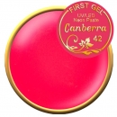 First Gel NEON-Gelpaste Canberra-42, 5g